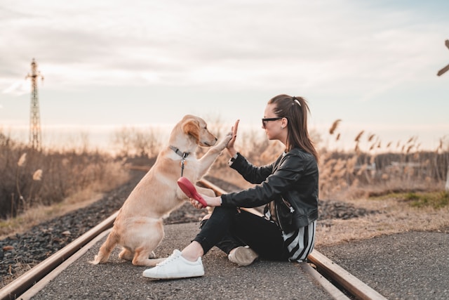 Close bond between dog and owner